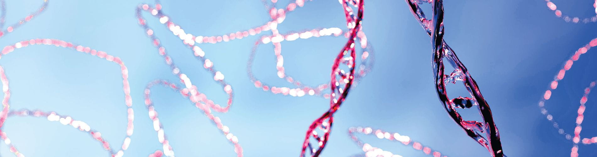 Plasmid DNA